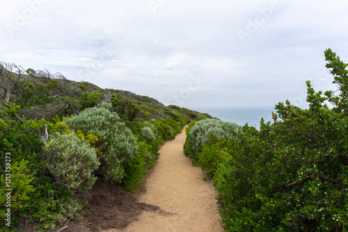 Cape Schanck is the southernmost tip of the Mornington Peninsula, Melbourne, Victoria, Australia.
 photo