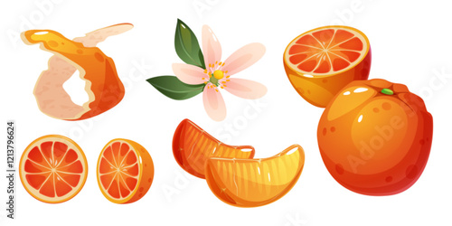 Orange fruit elements set with peeled spiral skin, citrus slice, whole, half fruits and blossom. Fresh tangerine composition showing pink flowers with green leaves, juicy segments, bright peel pieces.