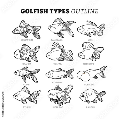 Set of different types of goldfish outline collection with line art style, goldfish swimming isolated on white background, aquatic animals vector illustration