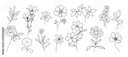 Set of hand drawn botanical flower line art vector. Collection black white contour drawing of foliage, wildflower, poppy, peony, eucalyptus. Illustration design for logo, wedding, invitation, decor.