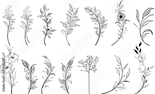 Vector set of fine line flowers. Doodle ornamental floral elements, nature botanical leaves and branches