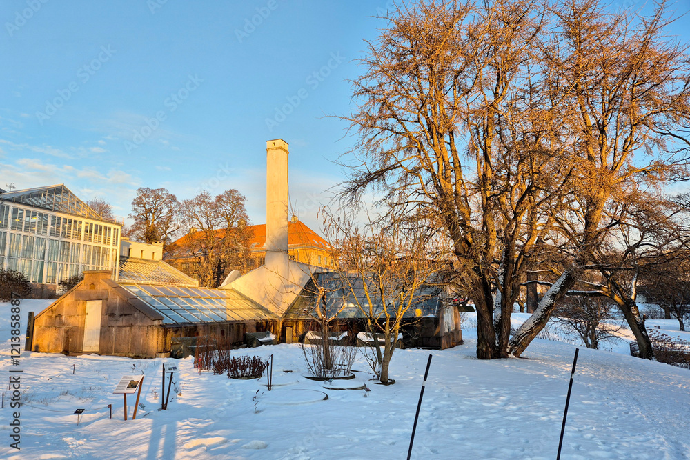 Fototapeta premium Park