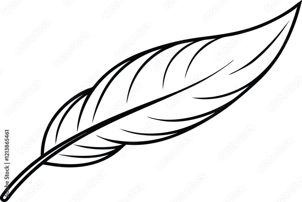 Obraz premium Single Elegant Black and White Bird Feather Illustration