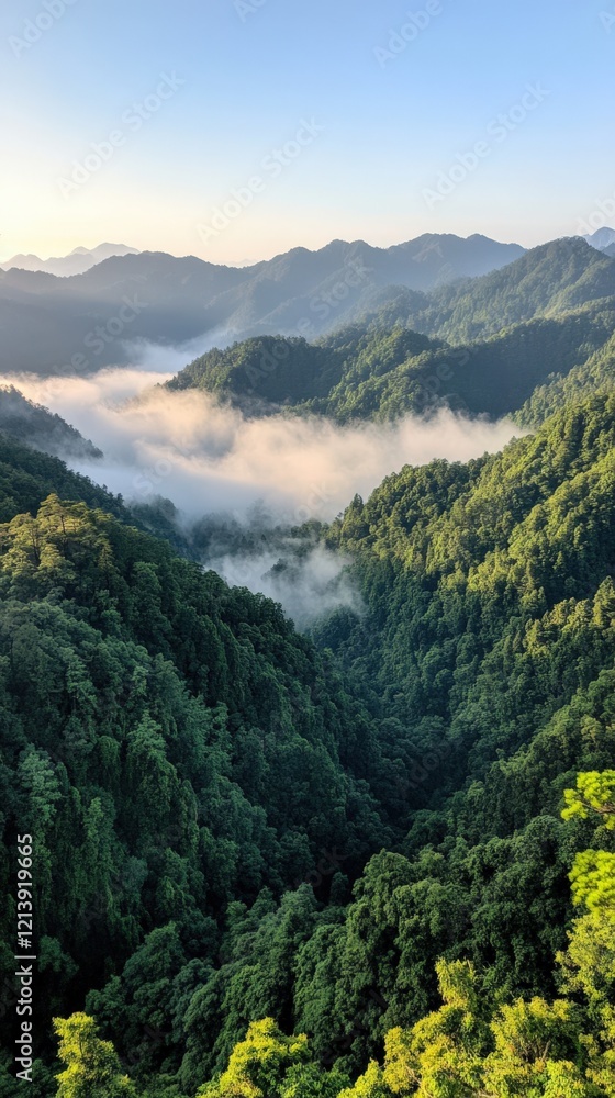 Fototapeta premium Breathtaking Aerial View of Lush Green Mountains with Misty Valleys at Sunrise in Vibrant Nature Landscape