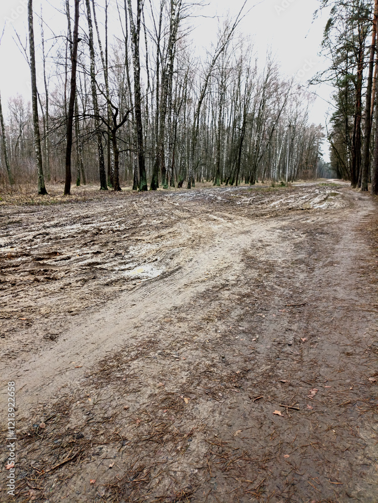 Forest road with mud and puddles. Winter photo of the forest. Forest road with mud and puddles. Winter photo of the forest.