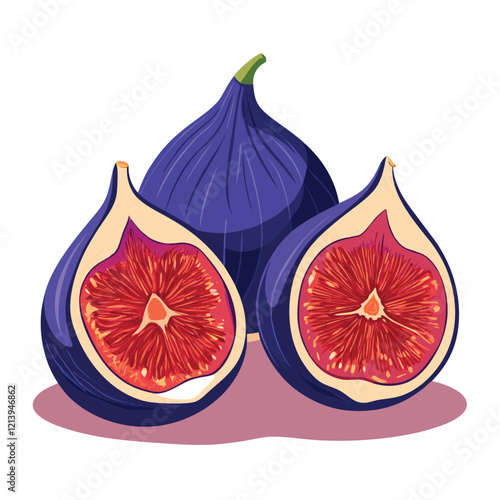 Fig, purple whole fruit and half. Fresh fruit for good health. Vector illustration on background white