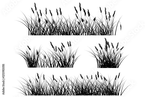 pampas grass silhouette black, reeds grass set