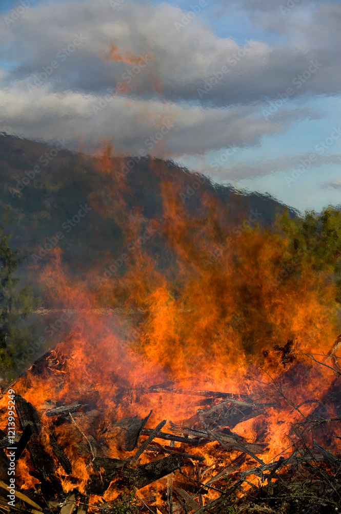 Rubbish Fire Pit Burning Flames Rubbish Fire Pit Burning Flames