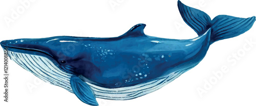 Whale isolated on white background vector illustration cartoon style