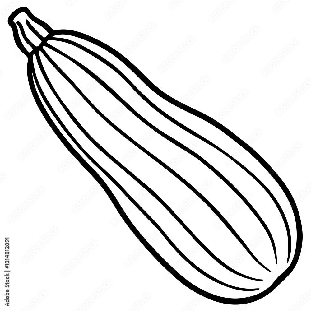 Zucchini Illustration in Vector Style Zucchini Illustration in Vector Style