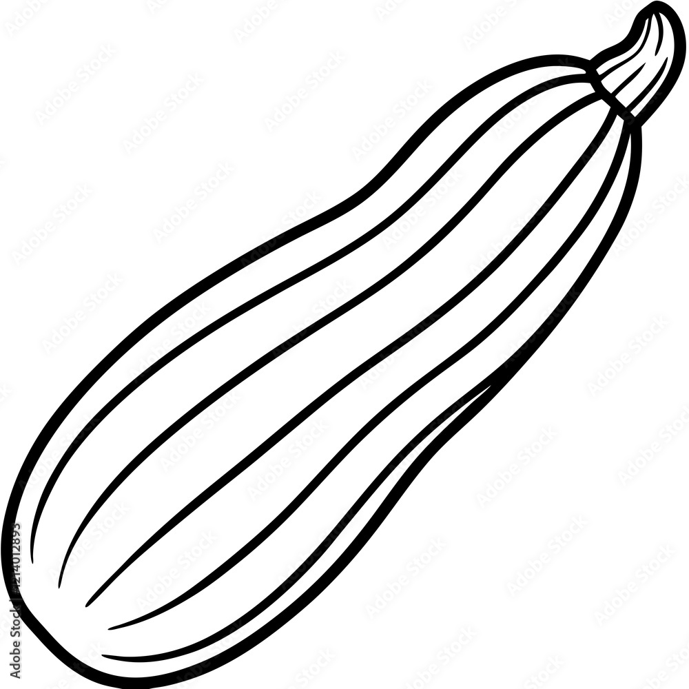 Zucchini Illustration in Vector Style Zucchini Illustration in Vector Style