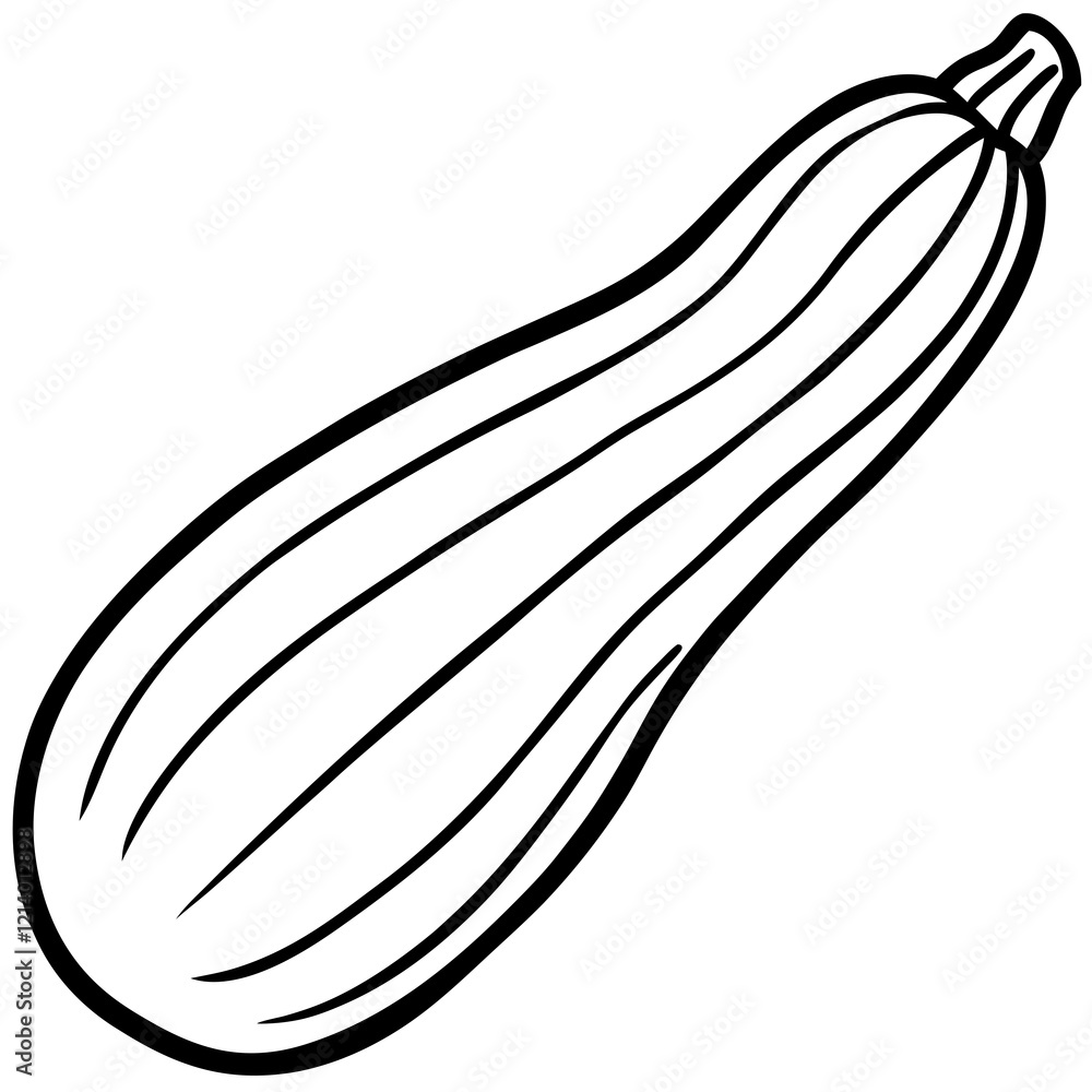 Zucchini Illustration in Vector Style Zucchini Illustration in Vector Style