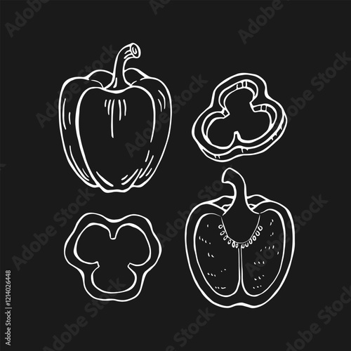 Set of pepper. Hand drawn vector illustration.