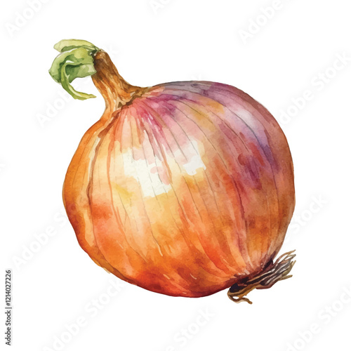 watercolor Onion isolated white background