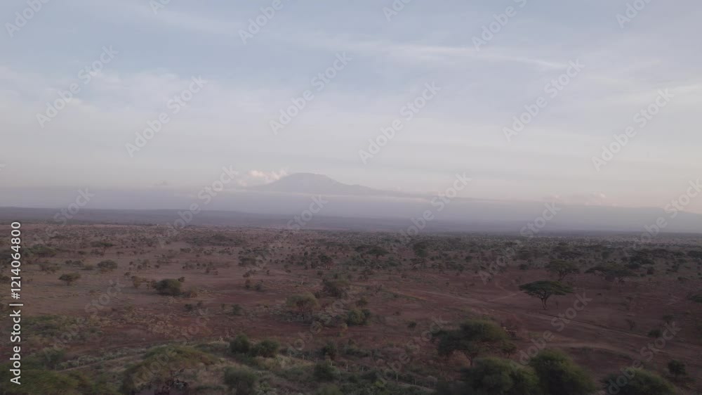 tilt up reveal drone video of amboseli national park with Mt. Kilimanjaro in the background tilt up reveal drone video of amboseli national park with Mt. Kilimanjaro in the background