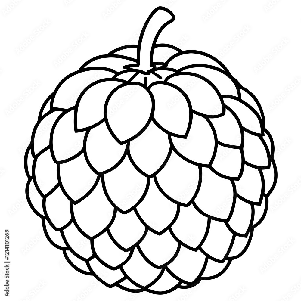Sugar Apple Fruit in Hand Vector Design Sugar Apple Fruit in Hand Vector Design
