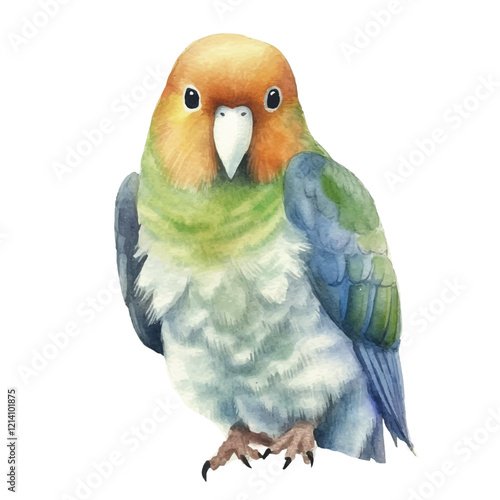 watercolor Lovebird isolated white background