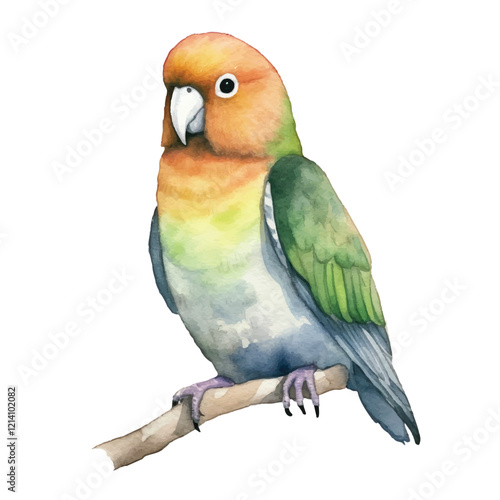 watercolor Lovebird isolated white background