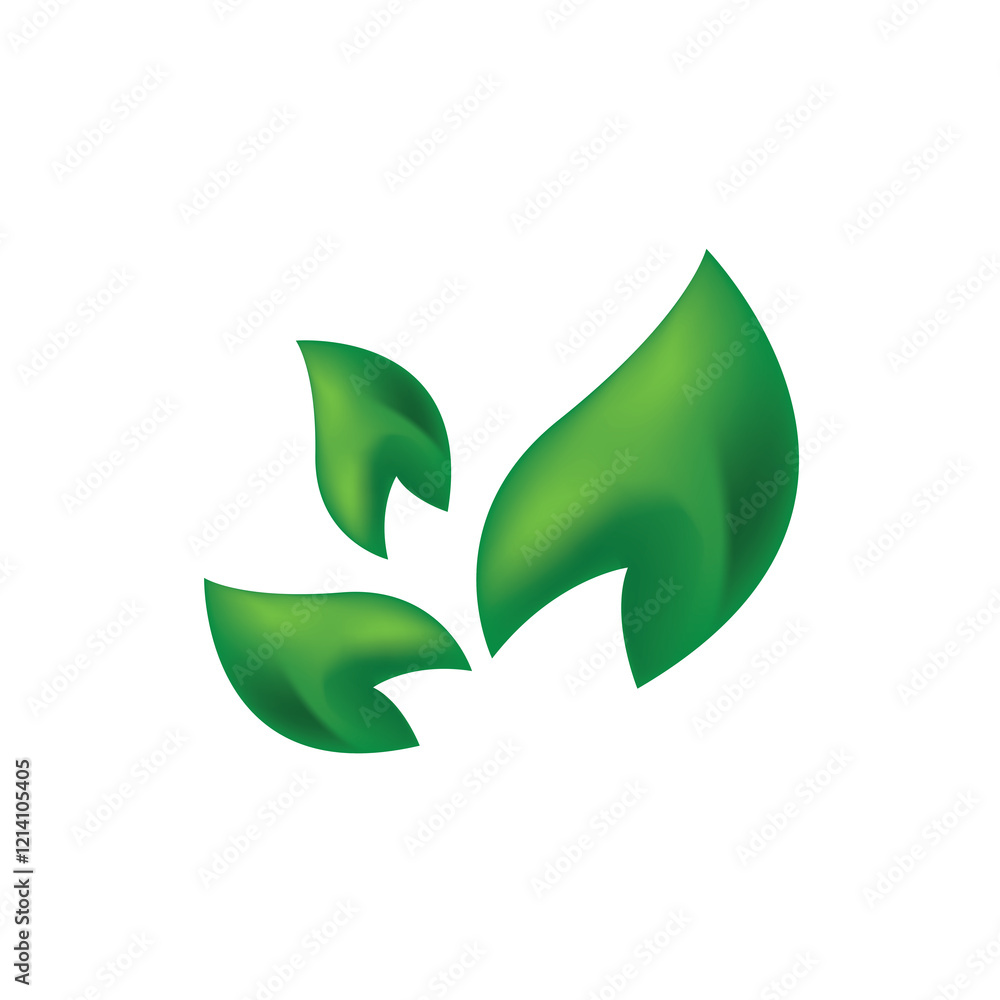 Obraz premium green leaf