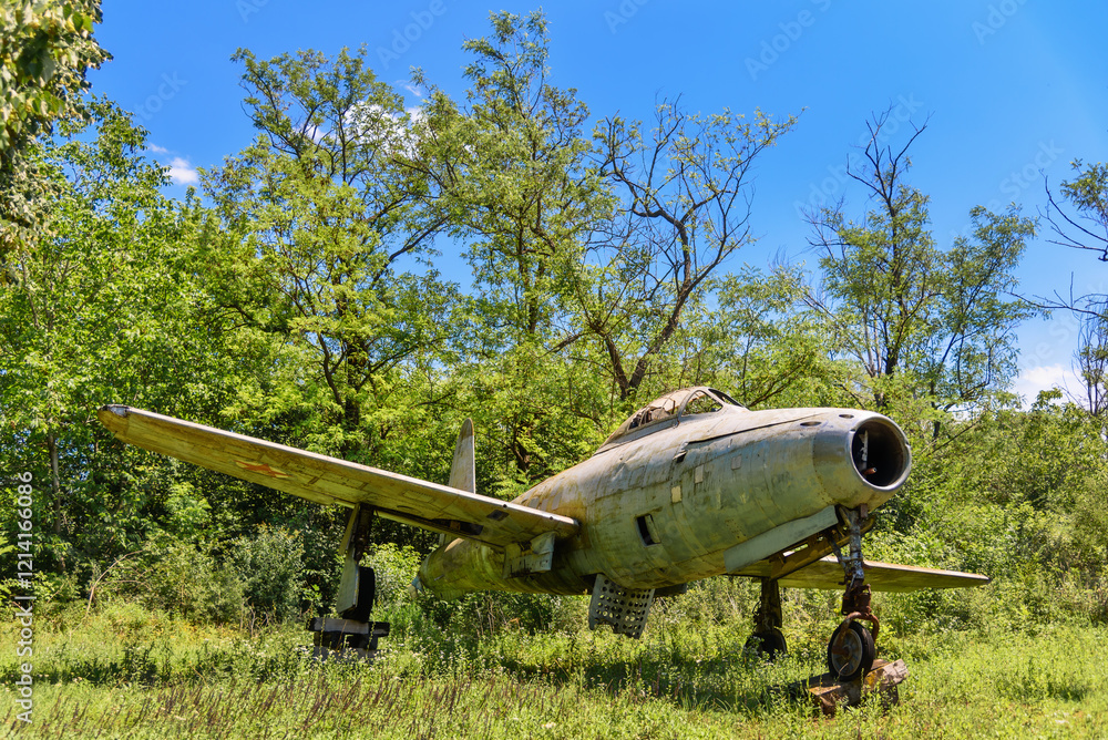 Old aircraft close up on grass