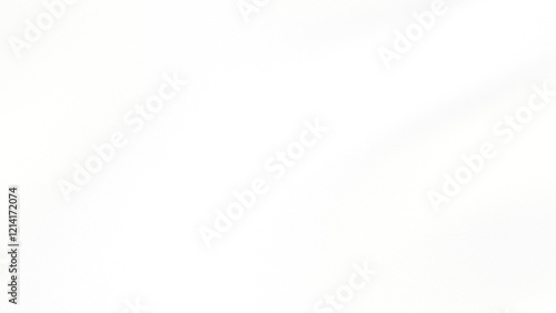 Wallpaper Mural White Blurred transparent gradient background. Transparent png overlay background Torontodigital.ca