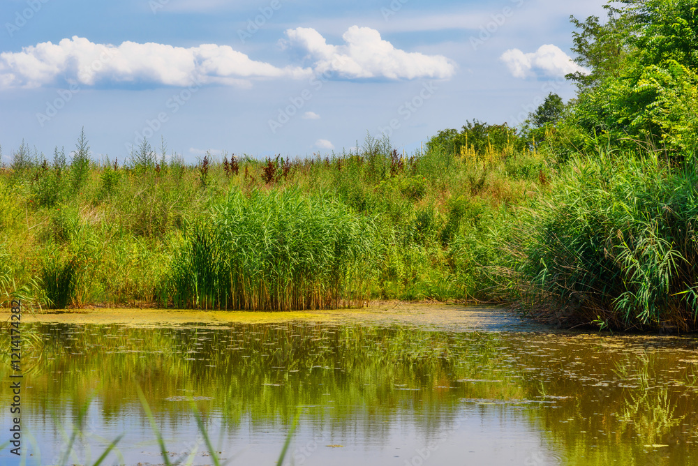 Zmajevo Lakes - Zmajevacka jezera in Vojvodina, Serbia