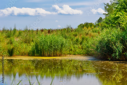 Zmajevo Lakes - Zmajevacka jezera in Vojvodina, Serbia photo