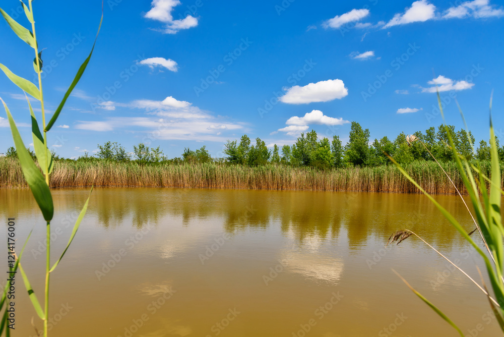 Zmajevo Lakes - Zmajevacka jezera in Vojvodina, Serbia
