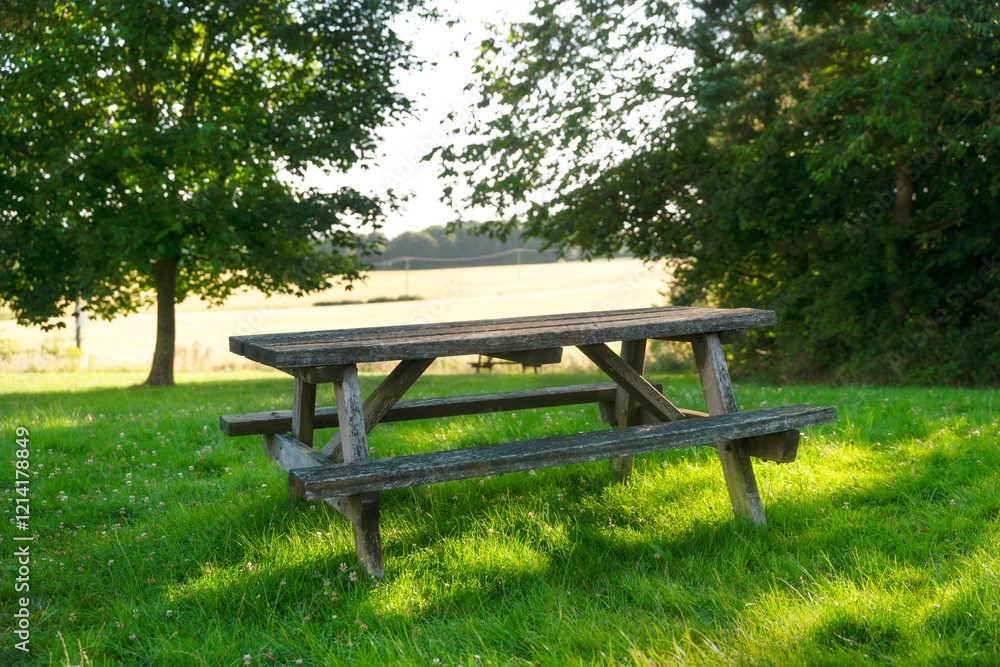 Picnic table in a serene meadow during golden hour sunlight Picnic table in a serene meadow during golden hour sunlight