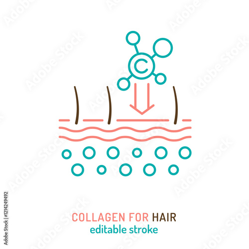 Collagen for hair line icon. Connective tissue protein pictogram.