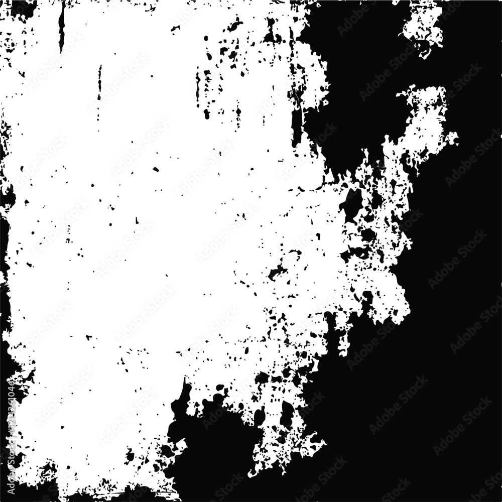 Fototapeta premium Black and White Abstract Grunge Texture background Vector