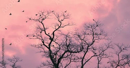 Silhouette of flock of birds flying and landing on tree