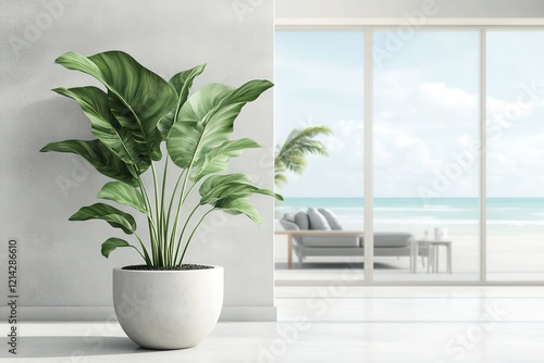 Indoor plant on white floor with empty concrete wall background, Lounge and