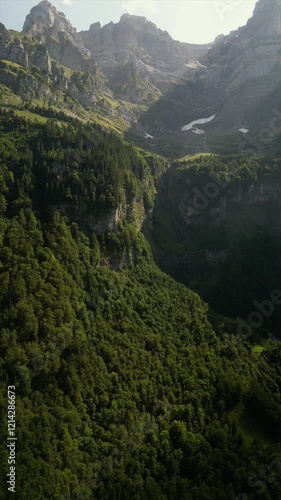 Vertical drone shot of beautiful mountain and forests, in summer afternoon under clear blue sky in Switzerland Alps