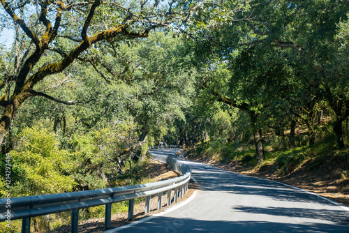 Summer in national park la Sierra de Grazalema, Andalusian white villages touristic route in Spain