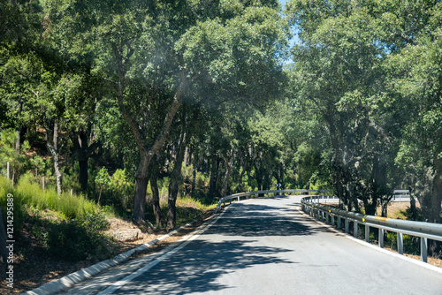 Summer in national park la Sierra de Grazalema, Andalusian white villages touristic route in Spain