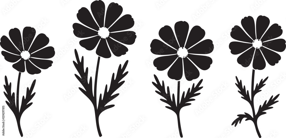 Obraz premium Set of black and white Silhouette of Cosmos flowers