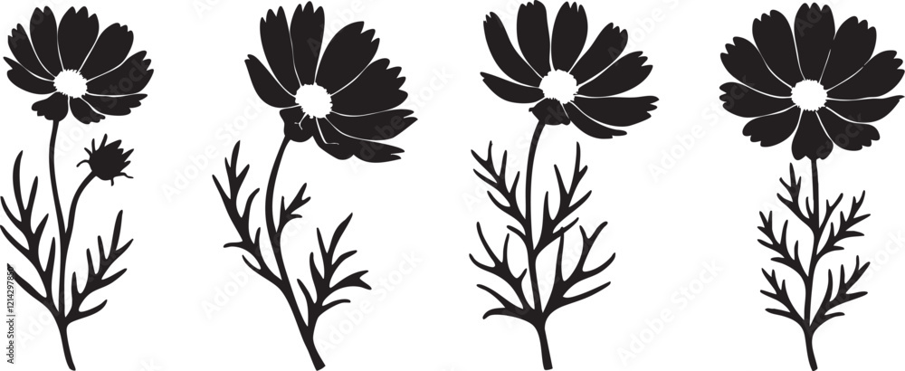 Set of black and white Silhouette of Cosmos flowers Set of black and white Silhouette of Cosmos flowers