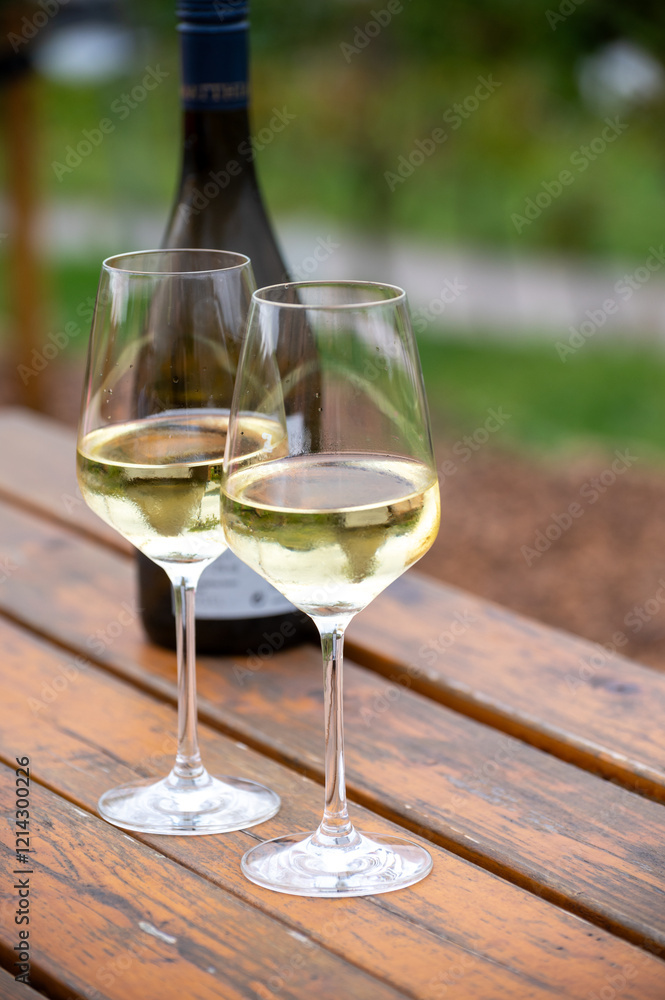 Glasses of white dry riesling wine made on Moselle river valley in Germany or Luxembourg, view on terraced vineyards Glasses of white dry riesling wine made on Moselle river valley in Germany or Luxembourg, view on terraced vineyards