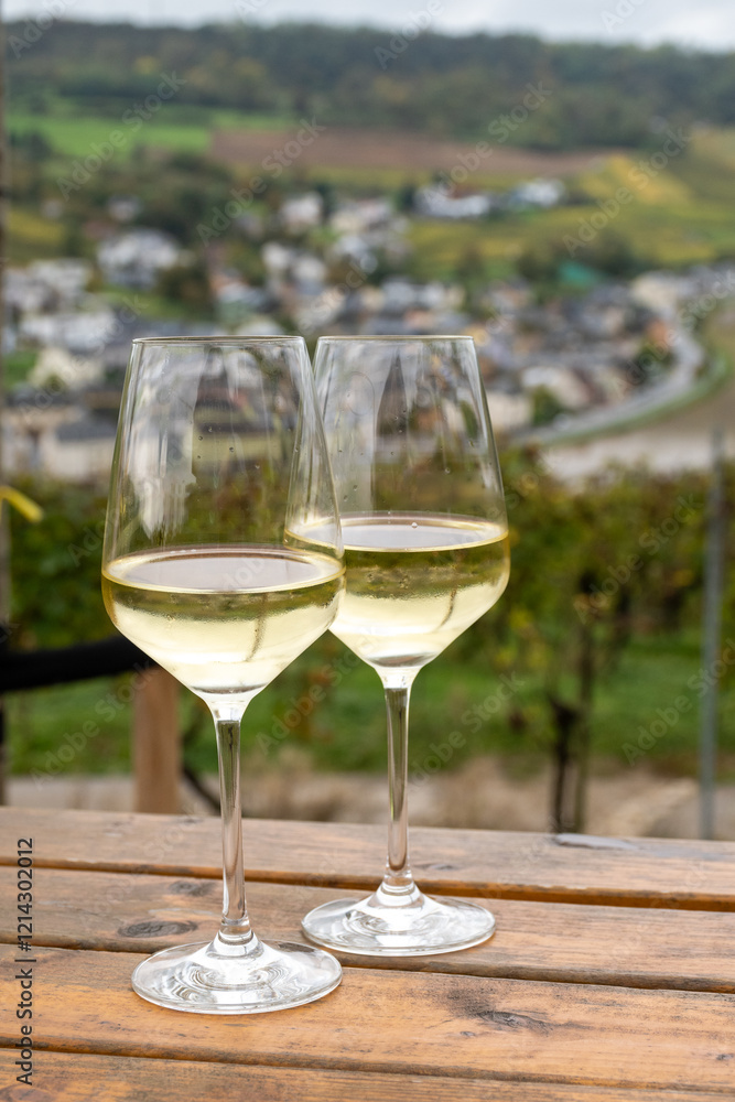 Glasses of white dry riesling wine made on Moselle river valley in Germany or Luxembourg, view on terraced vineyards Glasses of white dry riesling wine made on Moselle river valley in Germany or Luxembourg, view on terraced vineyards