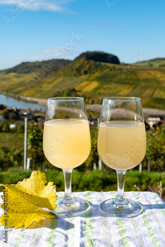 Autumn wine festival in Germany on Moselle river valley, tasting of federweisser young wine, neuer wein fermented freshly pessed auxerrois grape juice, or must. View on terraced vineyards. photo