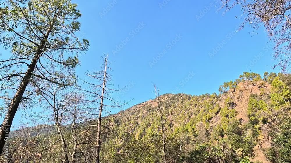 Scenic hillside with vibrant greenery under a clear blue sky – nature’s tranquility at its finest Scenic hillside with vibrant greenery under a clear blue sky – nature’s tranquility at its finest