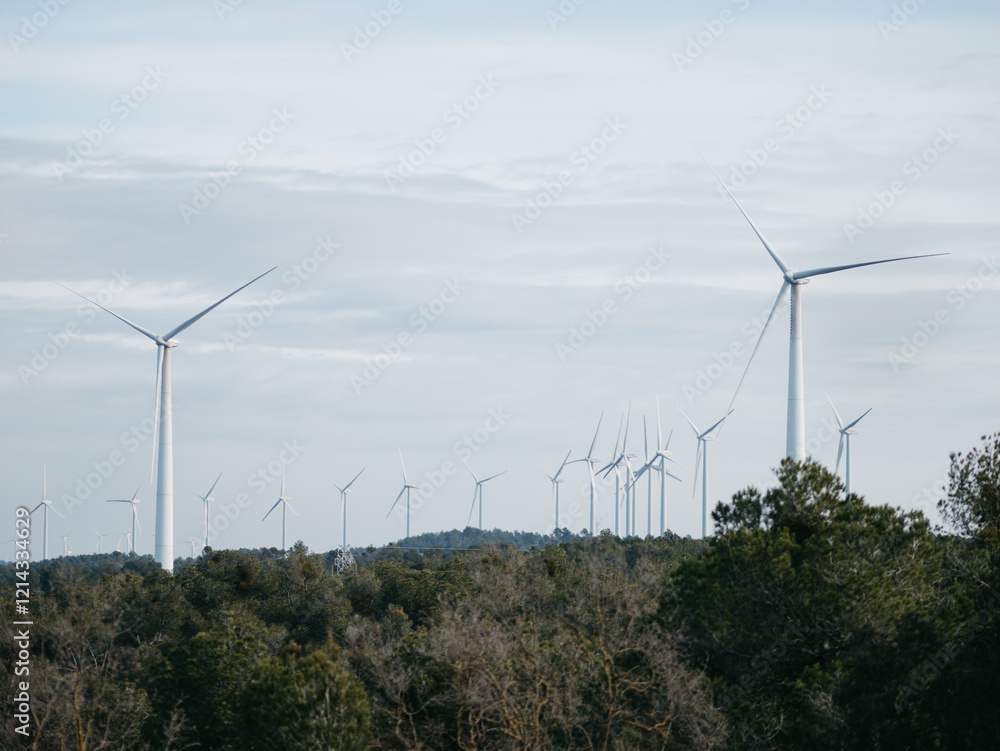 Obraz premium Wine turbines 