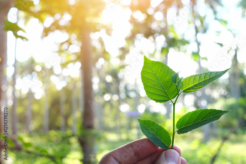 Human hand holding a seedling in green background. Environment, conservation and ecology concept.