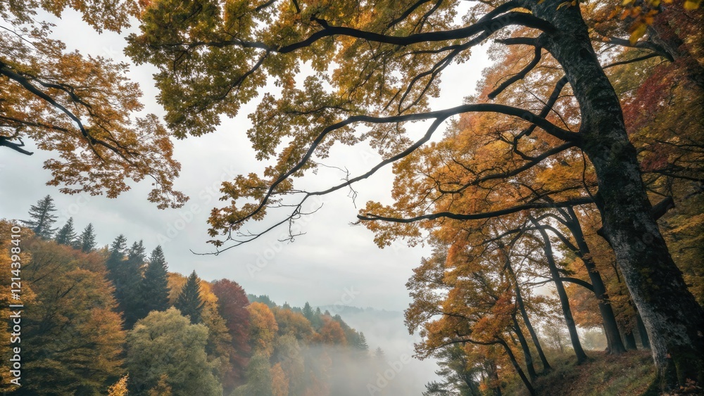 Ancient tree branches intertwined with foliage, stretching towards a misty fall sky, atmospheric, woods, nature, moss, foliage Ancient tree branches intertwined with foliage, stretching towards a misty fall sky, atmospheric, woods, nature, moss, foliage