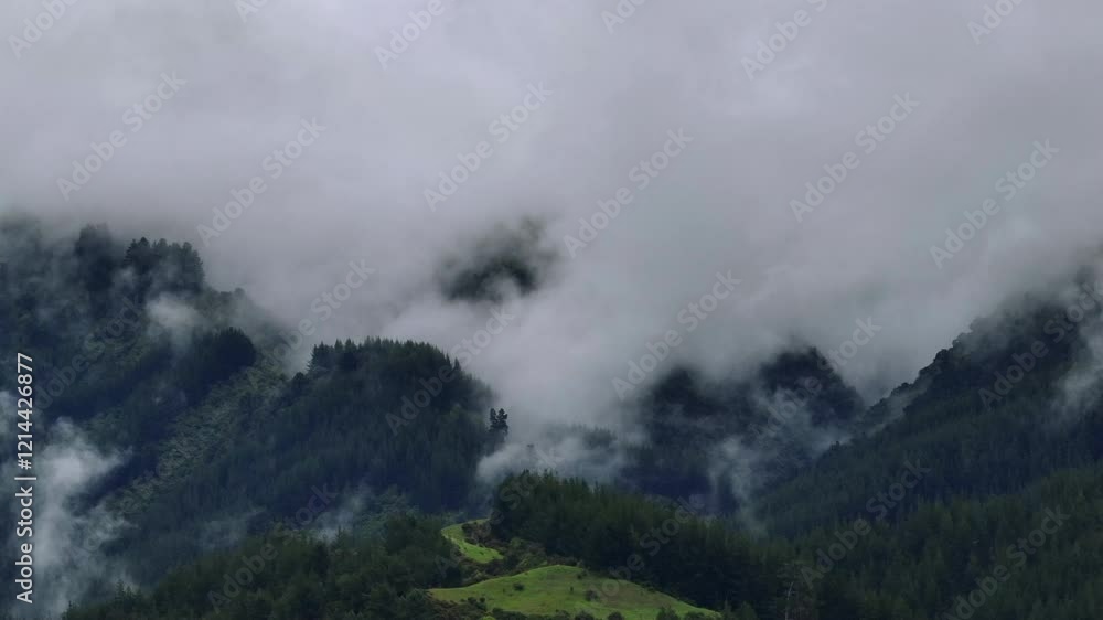 Drone Shot of Rain Clouds Moving Over Heavily Forested Mountain Range, New Zealand Drone Shot of Rain Clouds Moving Over Heavily Forested Mountain Range, New Zealand