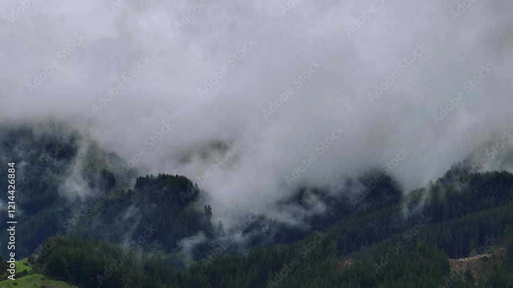Drone Shot of Rain Clouds Moving Over Heavily Forested Mountain Range, New Zealand Drone Shot of Rain Clouds Moving Over Heavily Forested Mountain Range, New Zealand