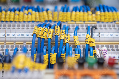 Blue wires of the digital data bus for PLC
