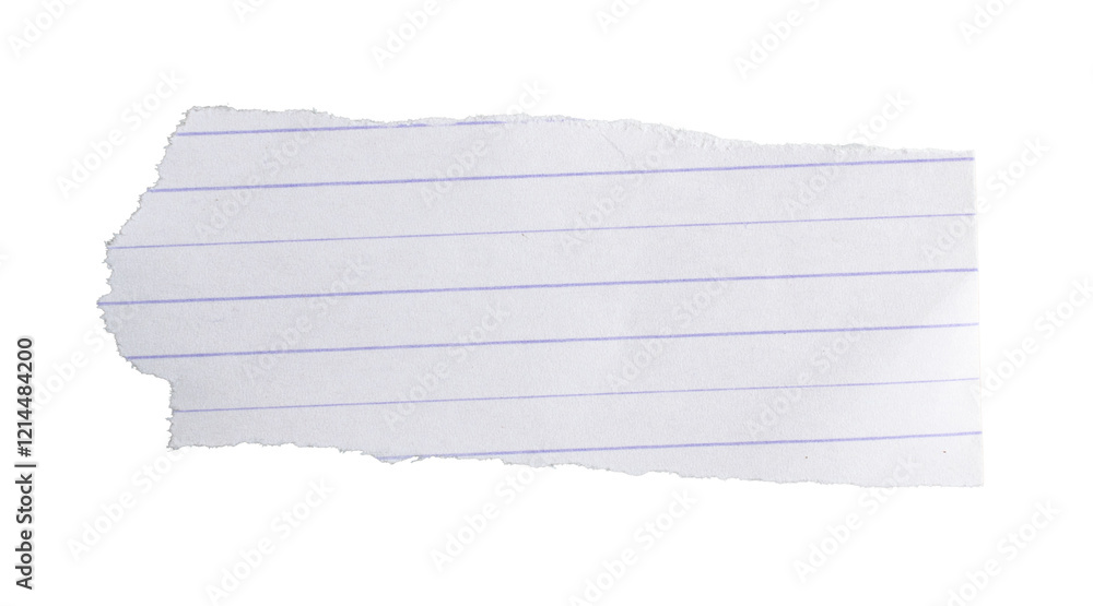 Fototapeta premium a white sheet of paper in one of them on an isolated white background