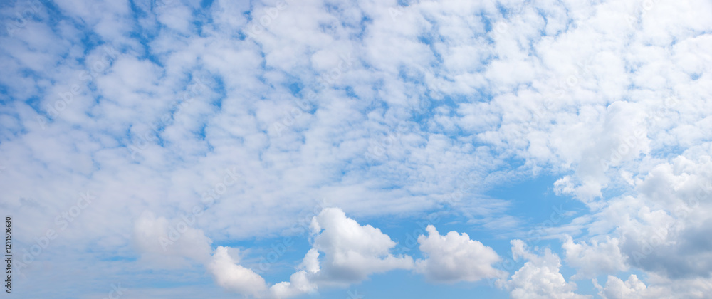 Fototapeta premium beautiful sky with fluffy cirrocumulus and some cumulus clouds